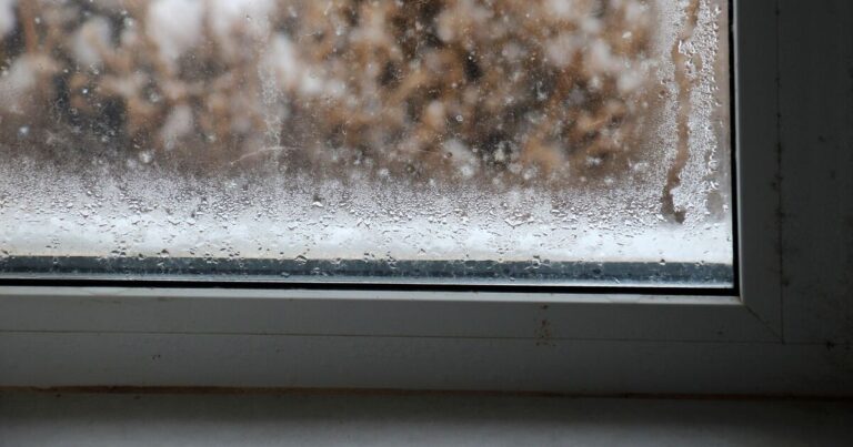 Banish condensation from your windows with 1 morning chore