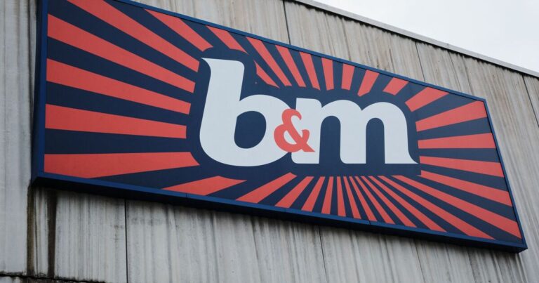 ‘I saw the B&M Christmas range and one £25 gift is a must-buy’