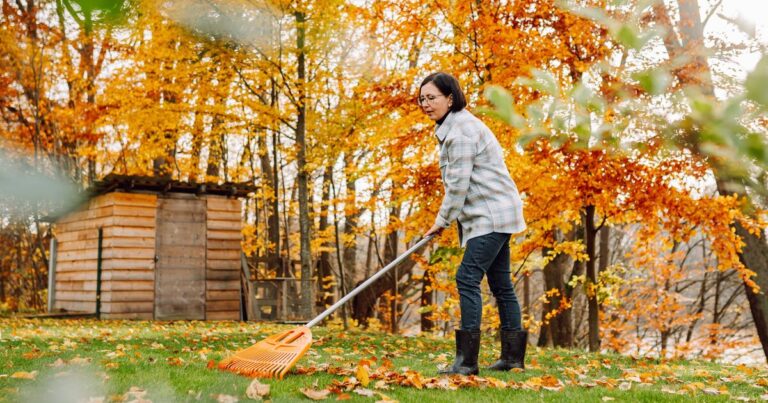 ‘Important’ reason to ‘leave one area of garden untidy’